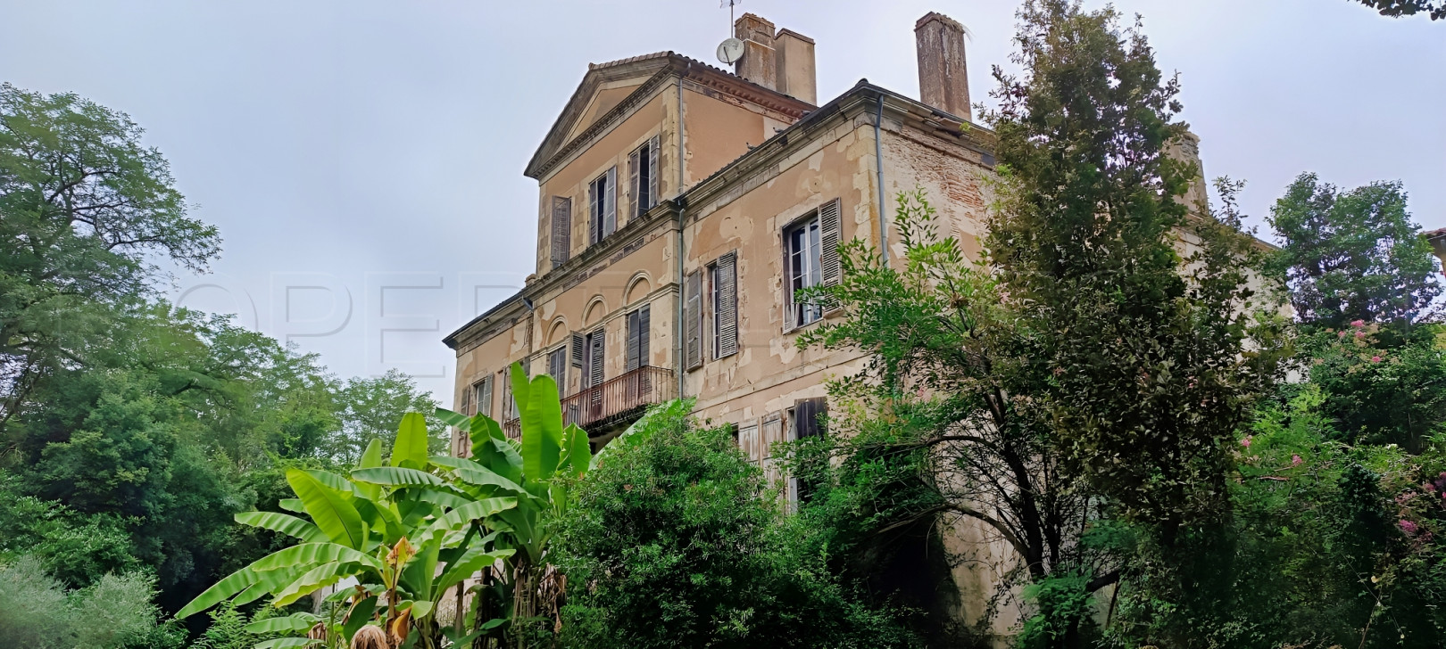 
                                                Vente
                                                 LANDES CHATEAU XIXème 12 HA