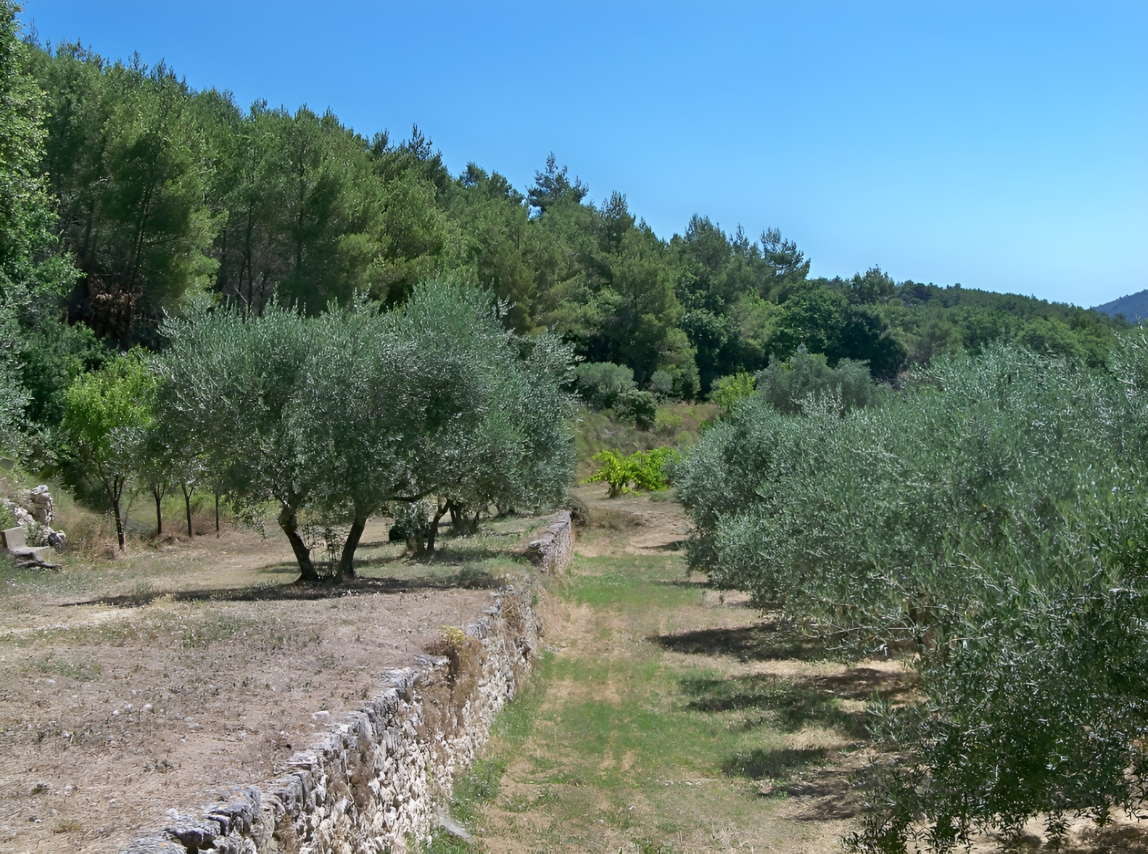 
                                                Vente
                                                 LITTORAL VAROIS PROPRIETE DE STANDING OLIVERAIE VIGNE 8 HA