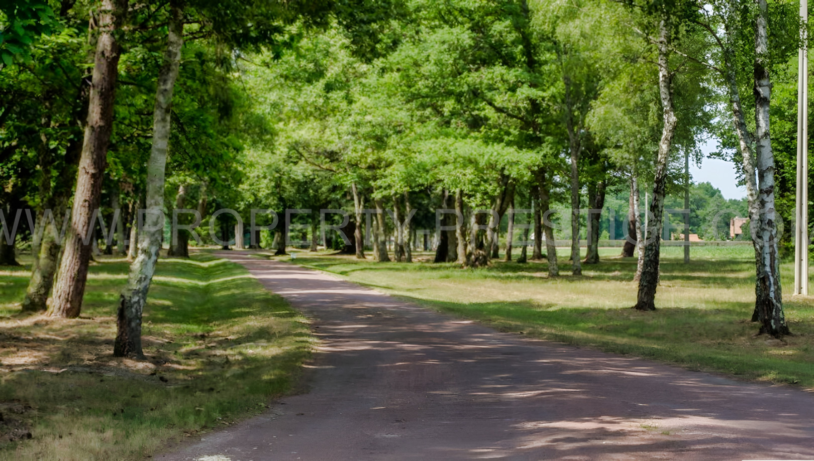 
                                                Vente
                                                 LOIRET 400 HA PROPRIETE RURALE PLEINE NATURE