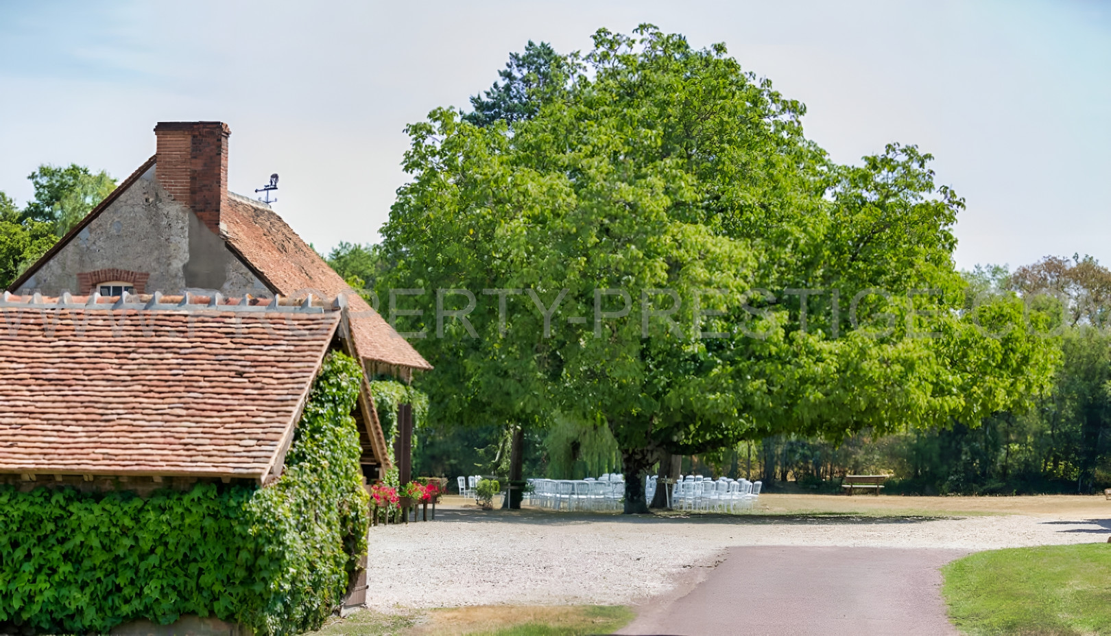 
                                                Vente
                                                 LOIRET 400 HA PROPRIETE RURALE PLEINE NATURE