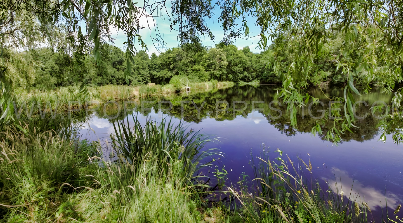 
                                                Vente
                                                 LOIRET 400 HA PROPRIETE RURALE PLEINE NATURE