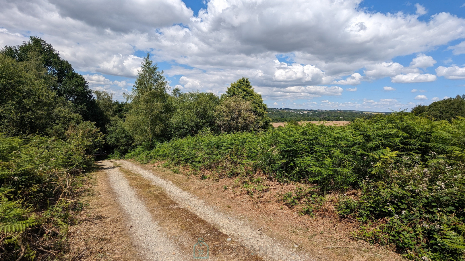 
                                                Vente
                                                 Longère en campagne à Camors avec 8726m² 