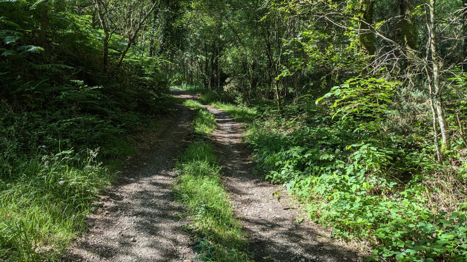 
                                                Vente
                                                 Longère en campagne à Camors avec 8726m² 