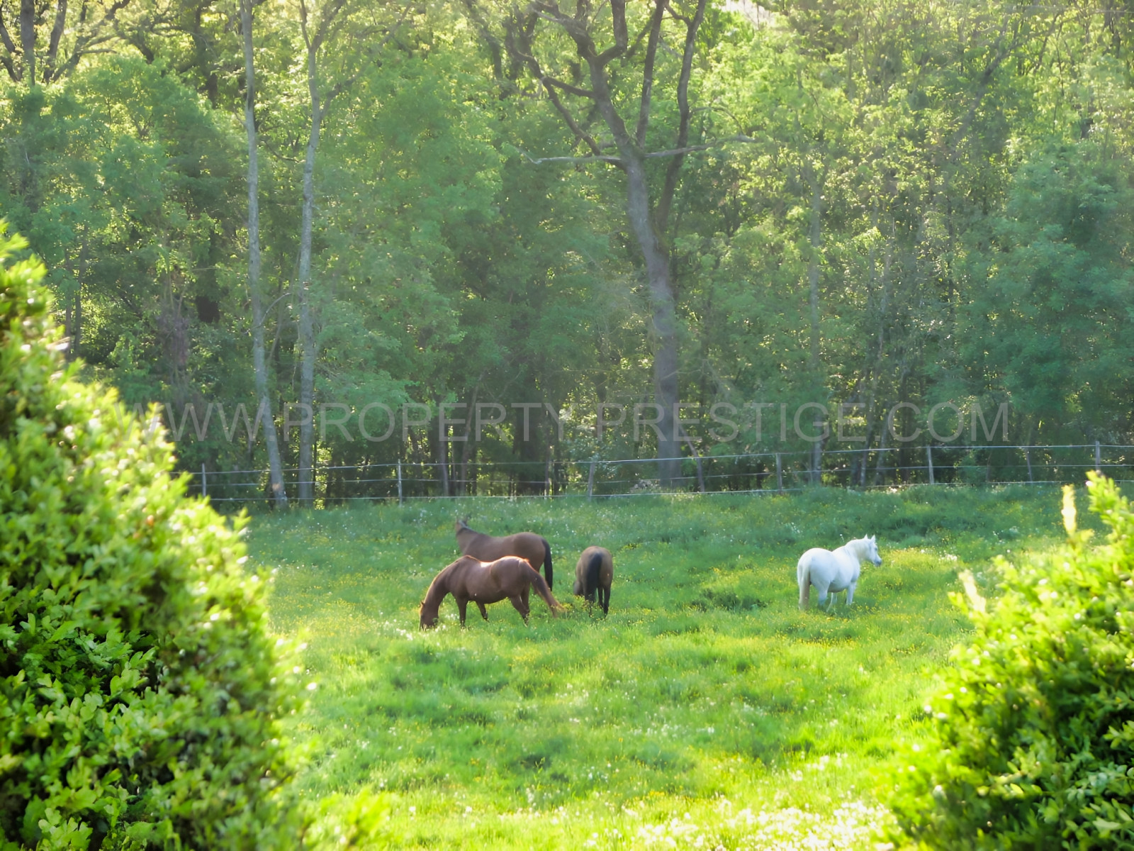 
                                                Vente
                                                 LOT ET GARONNE CHATEAU XVème 8,5 HECTARES