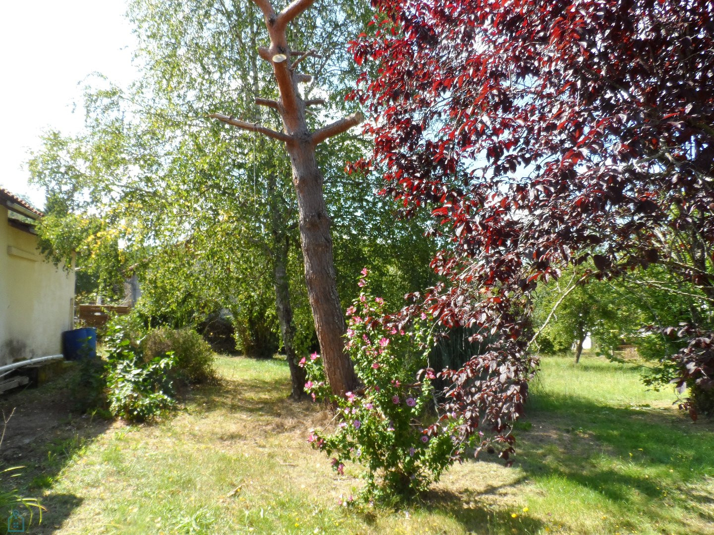 
                                                Vente
                                                 Maison à la campagne