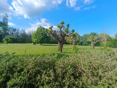 
                                                Vente
                                                 Maison d'architecte