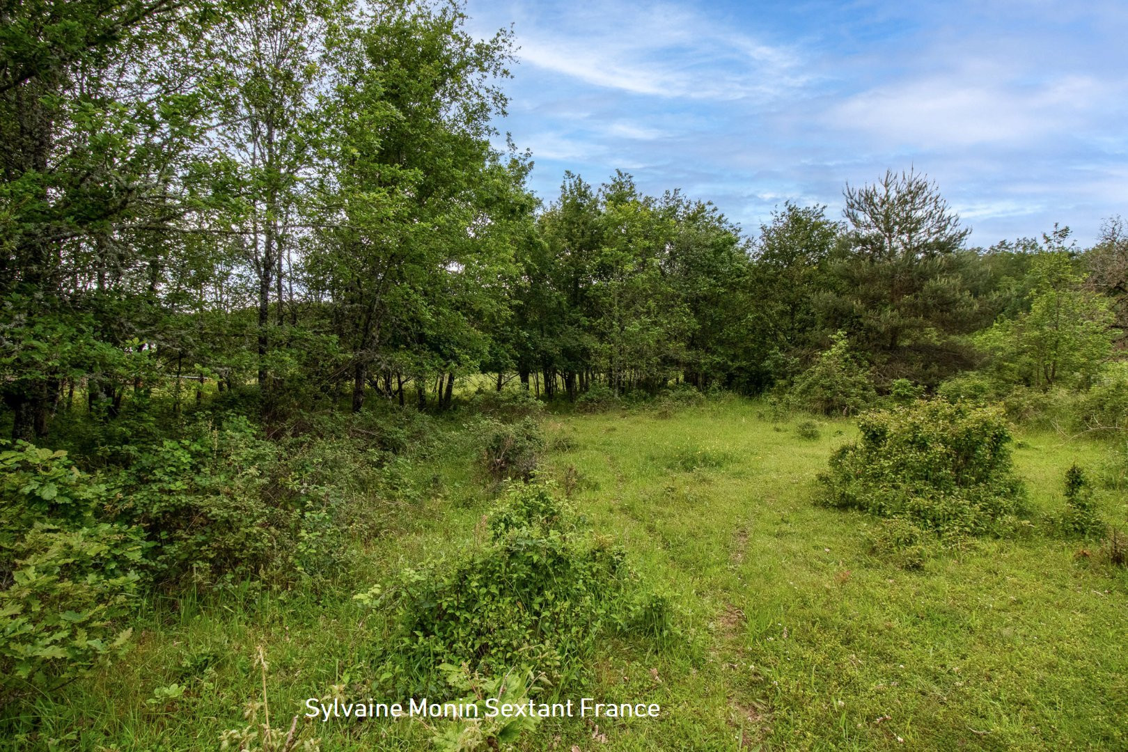 
                                                Vente
                                                 Maison de caractère rénovée avec dépendances et grand terrain clos