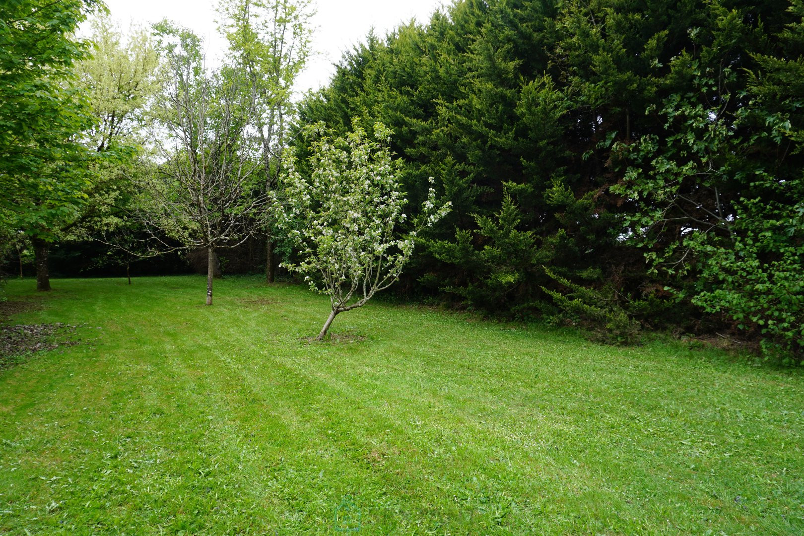 
                                                Vente
                                                 Maison de maître du XIXe siècle en bord de rivière. 