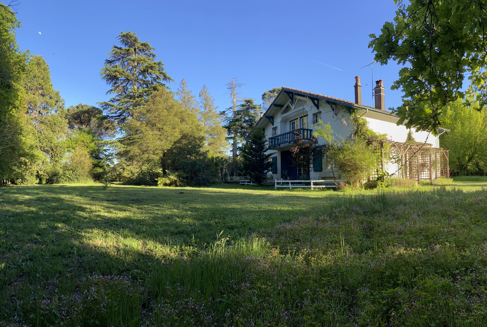 
                                                Vente
                                                 Maison en plein cœur de forêt