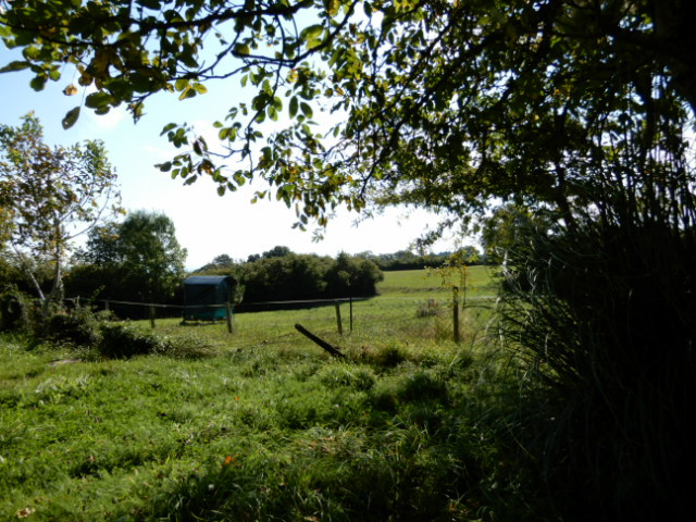 
                                                Vente
                                                 Maison semi-détachée avec jardin et prairie sur 