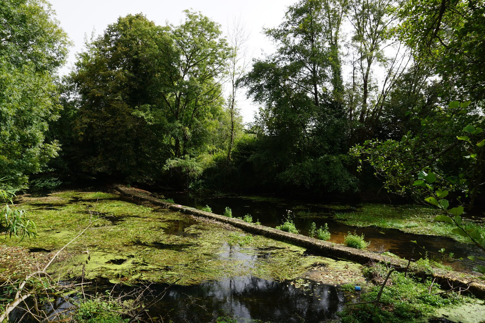 
                                                Vente
                                                 Moulin à eau du XVIIIe siècle niché dans la vallée de La Dronne. 