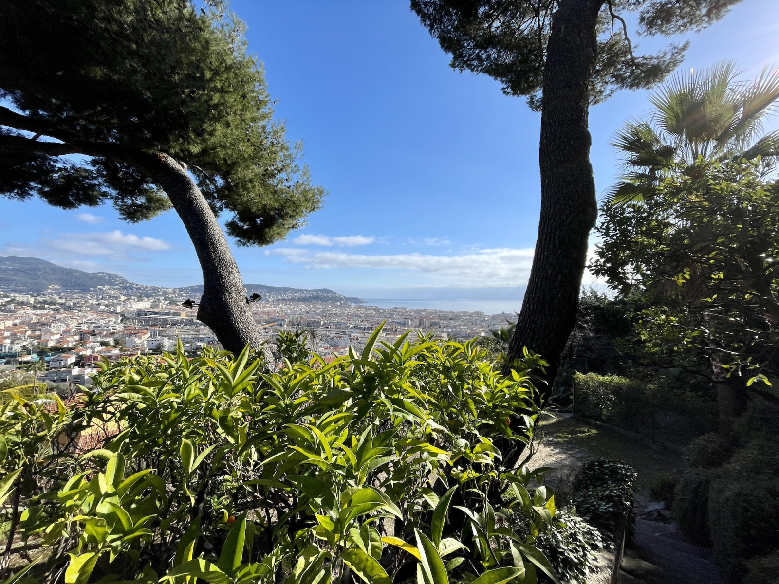 
                                                Vente
                                                 Nice Parc Impérial – Propriété 200 m2 avec vue mer panoramique et terrain