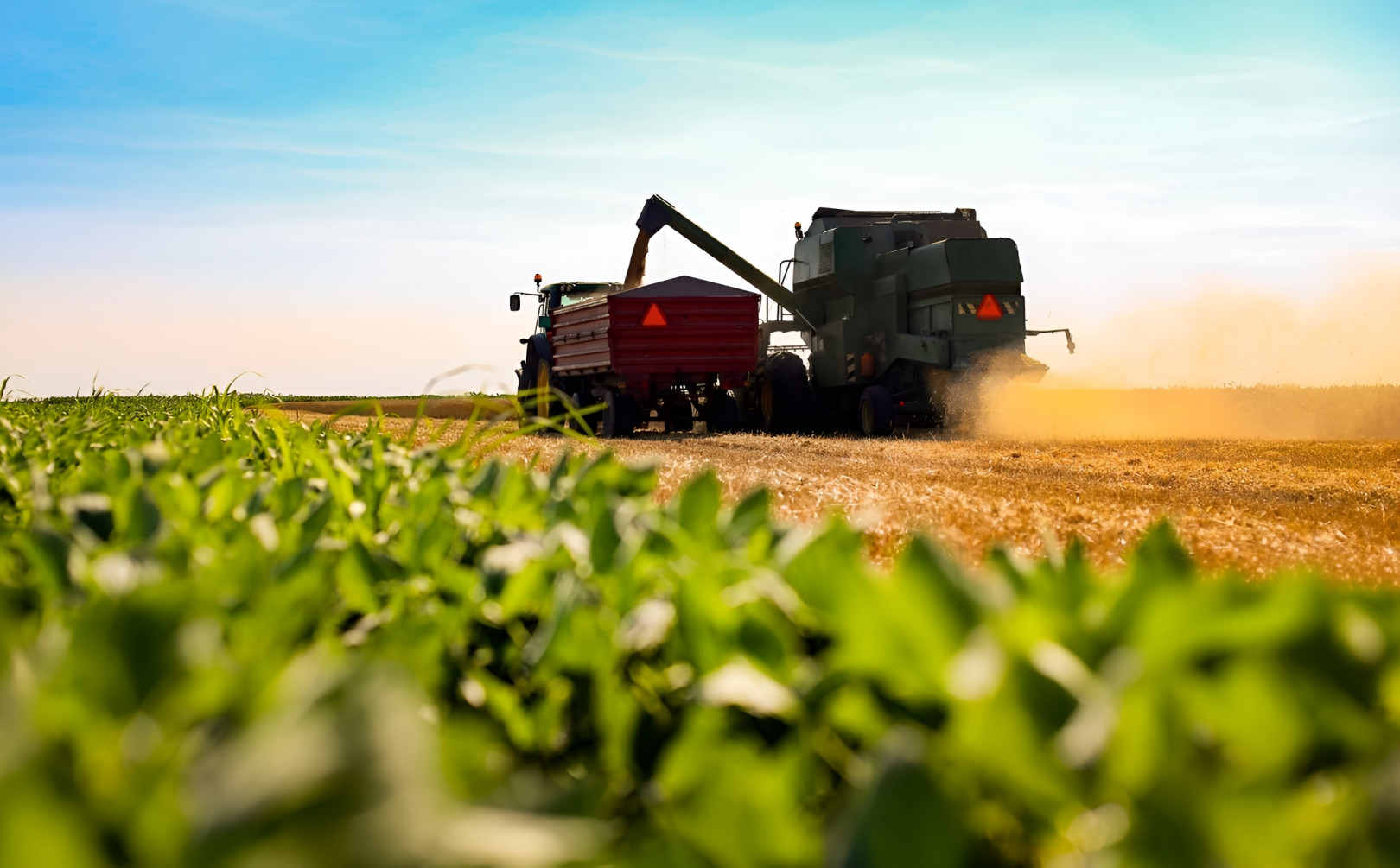 
                                                Vente
                                                 NOUVELLE AQUITAINE – EXPLOITATION AGRICOLE – 130 HA