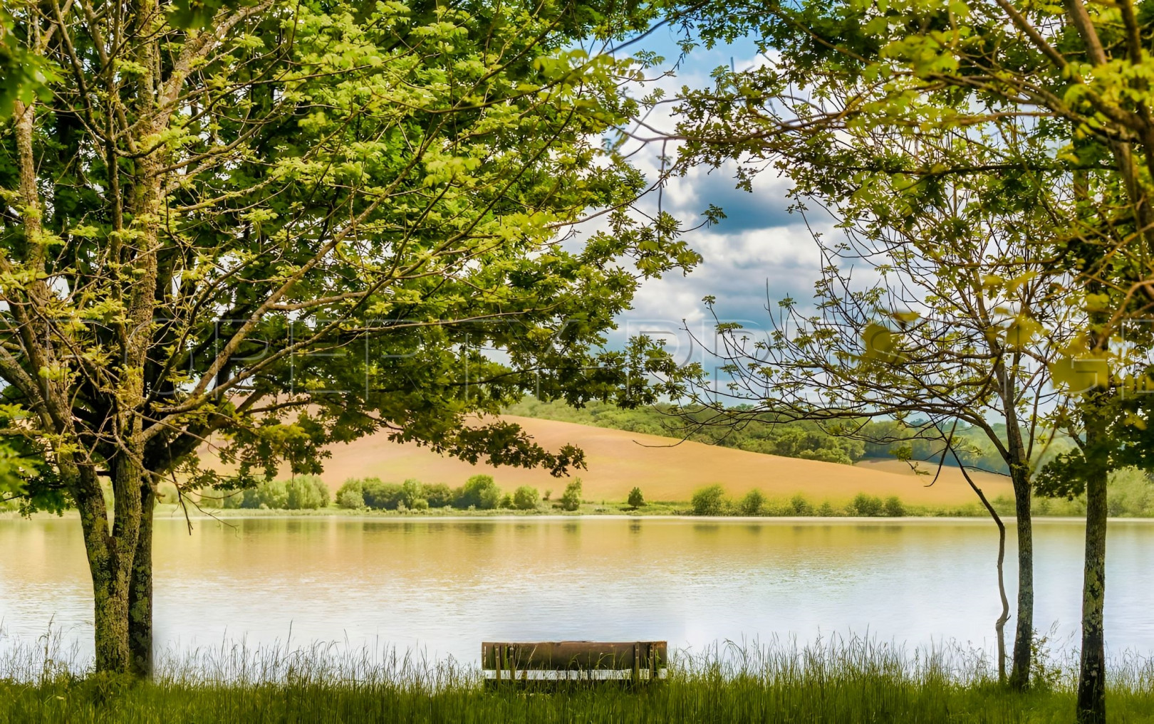 
                                                Vente
                                                 OCCITANIE COMPLEXE TOURISTIQUE 16 HA LAC