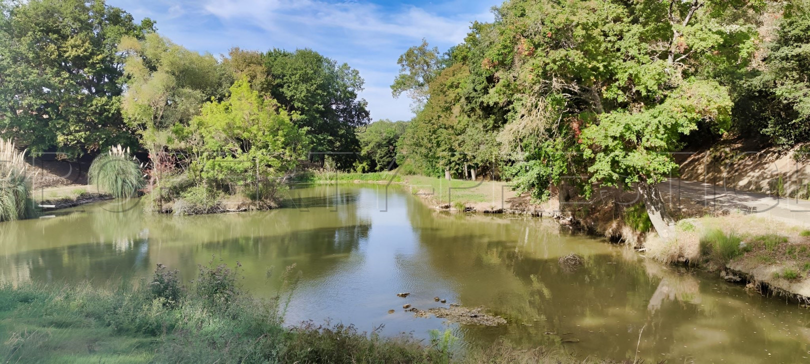 
                                                Vente
                                                 OCCITANIE PROPRIETE 820 HA LACS COLLINAIRES