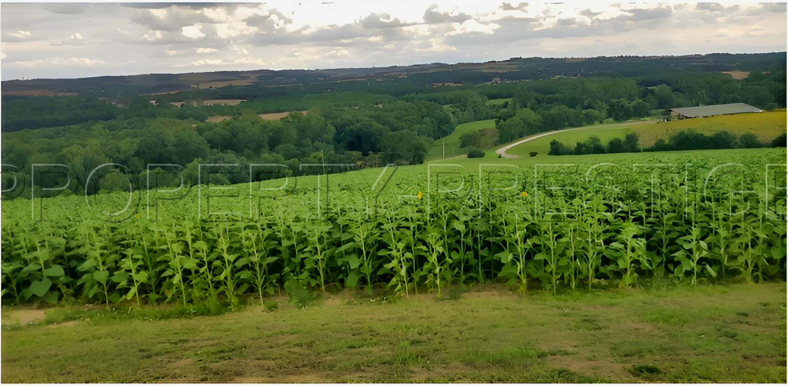 
                                                Vente
                                                 OCCITANIE PROPRIETE AGRICOLE 121 HA