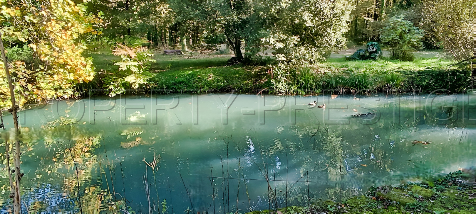 
                                                Vente
                                                 PERIGORD ANCIEN MOULIN A RENOVER 5 HA