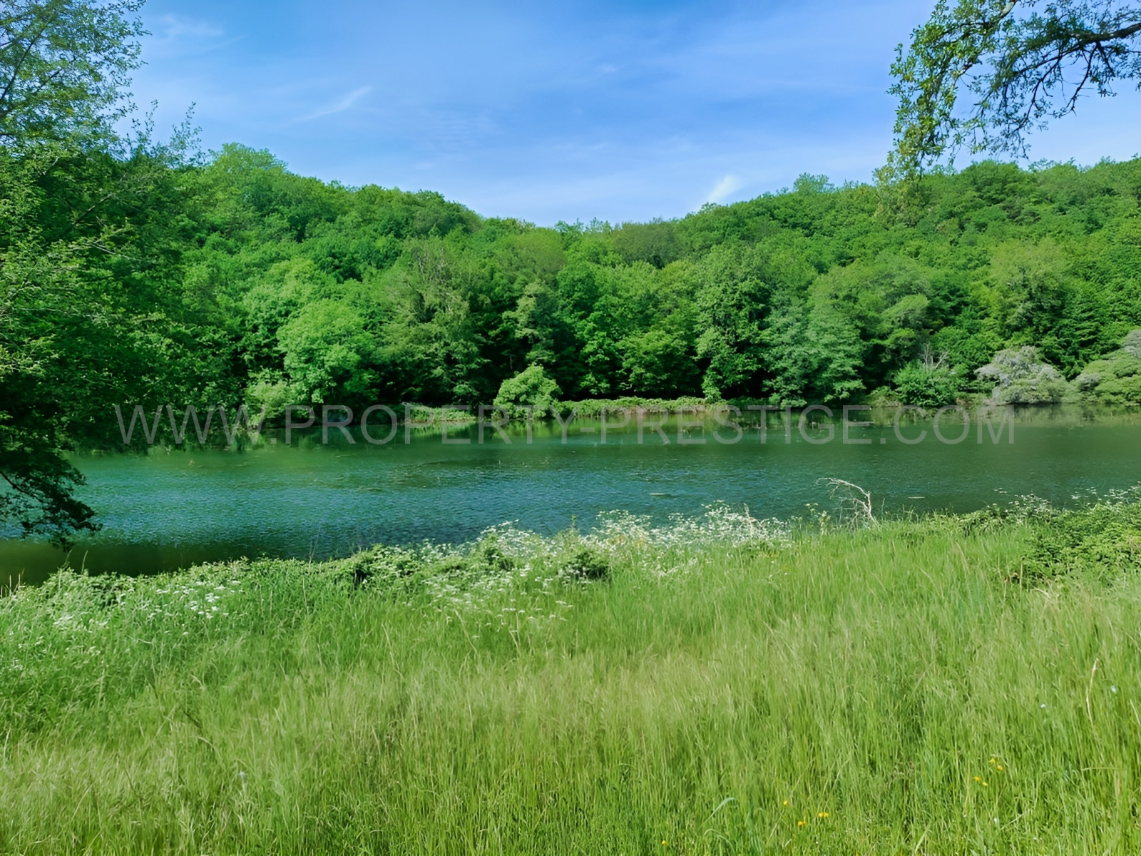 
                                                Vente
                                                 PERIGORD VERT PROPRIETE XIXème 88 HA ETANGS RIVIERE