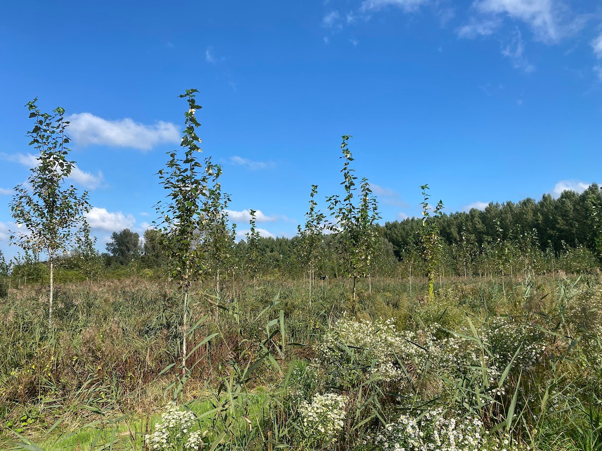 
                                                Vente
                                                 Propriété de loisirs avec hutte de chasse (Aisne)