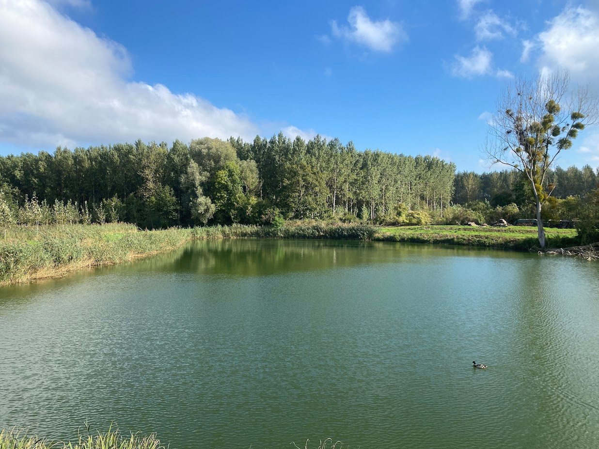 
                                                Vente
                                                 Propriété de loisirs avec hutte de chasse (Aisne)