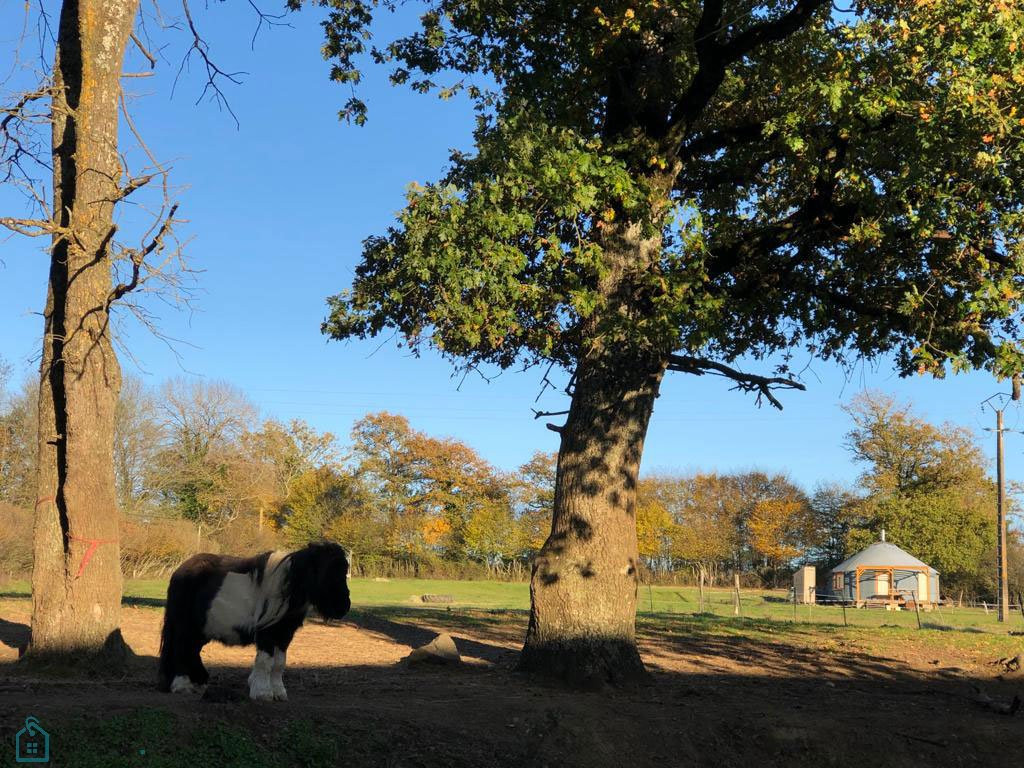 
                                                Vente
                                                 PROPRIÉTE EQUESTRE SUR 6 HA  AVEC MAISONS D'HABITATION