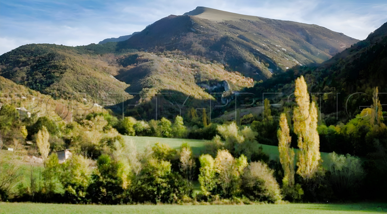 
                                                Vente
                                                 PROVENCE FERME AGRICOLE 130 HA SOURCES LACS