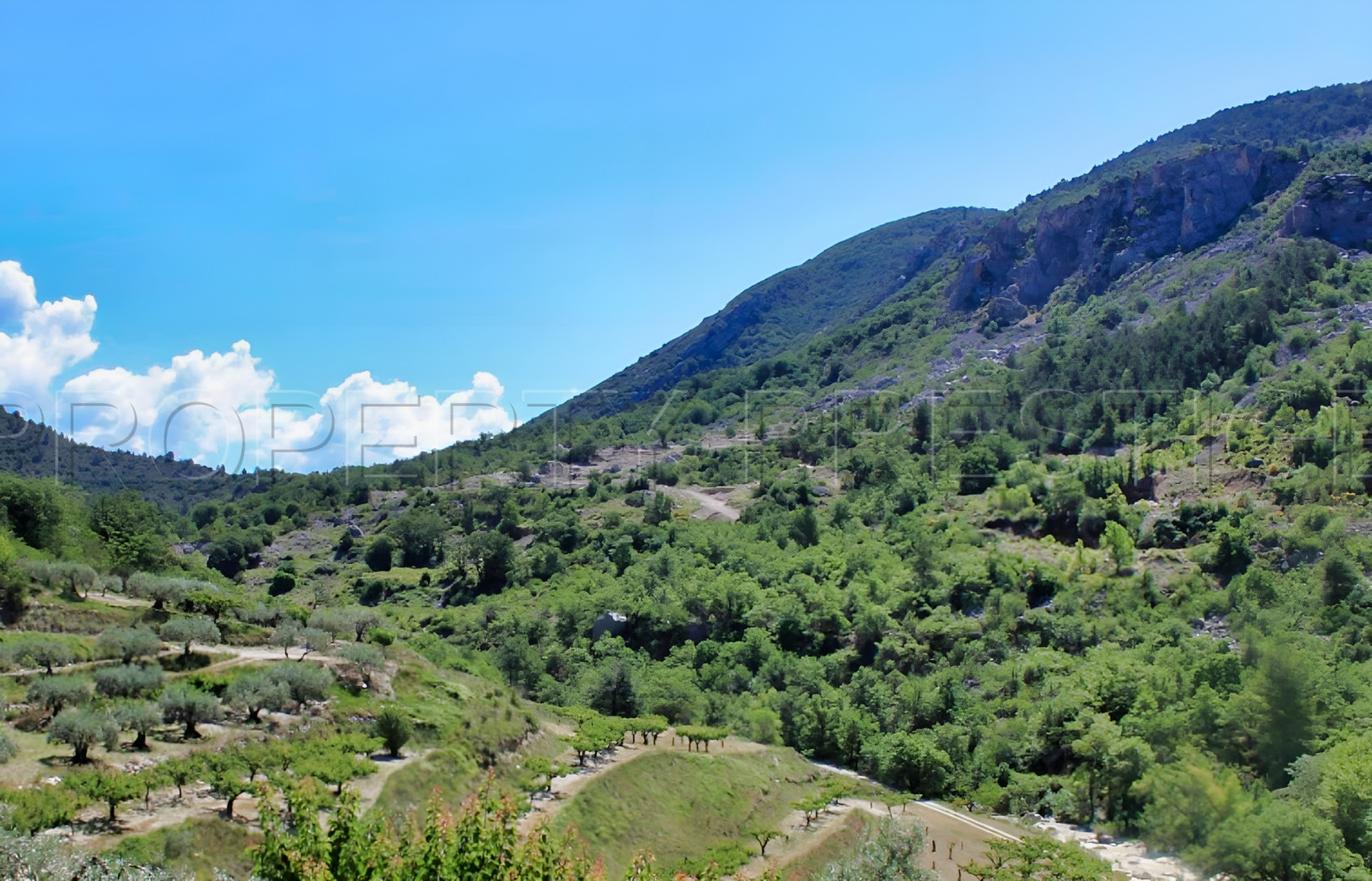 
                                                Vente
                                                 PROVENCE FERME AGRICOLE 130 HA SOURCES LACS