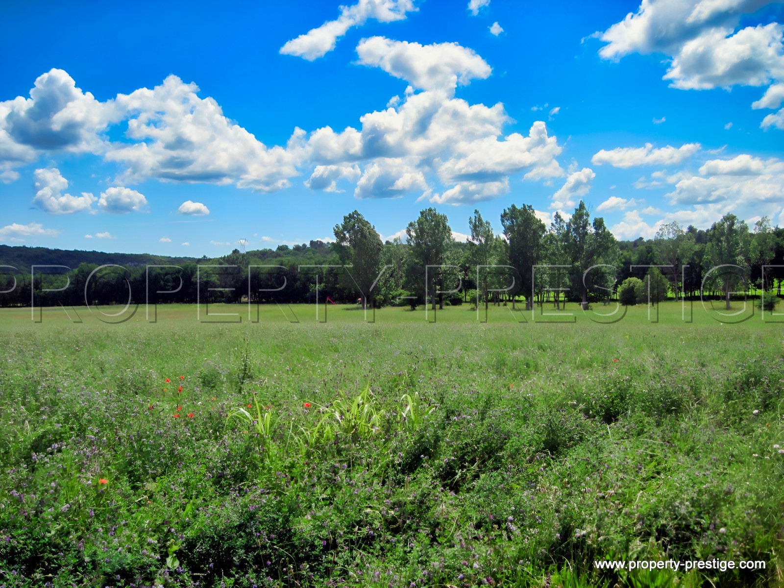 
                                                Vente
                                                 PROVENCE - PROPRIETE 150 HA  NATURE