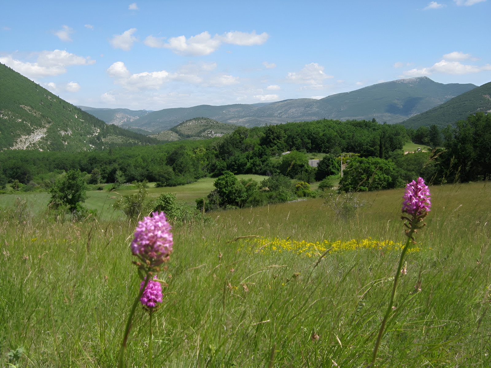 
                                                Vente
                                                 PROVENCE PROPRIETE 295 HA MARIAGES SOURCES