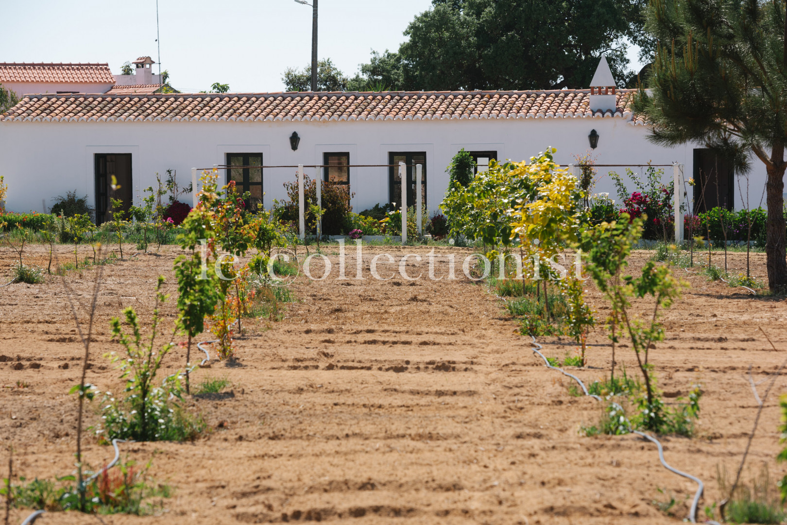 
                                                Location de vacances
                                                 Quinta dos Cavalos