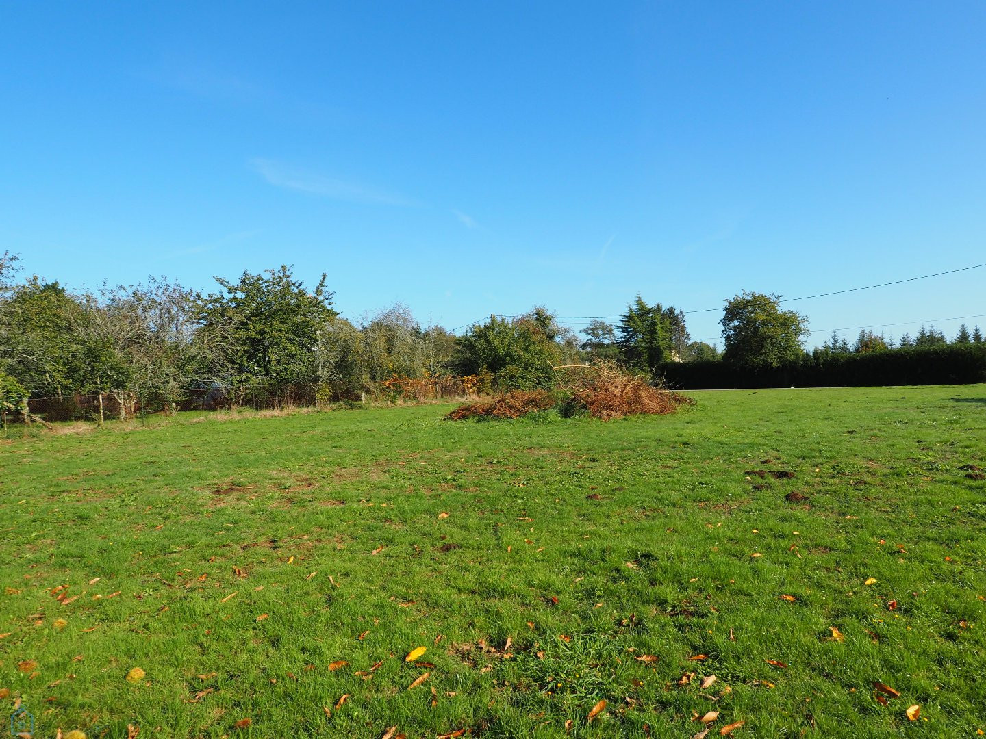 
                                                Vente
                                                 Rare : parcelle construcible dans bel environnement calme et verdoyant