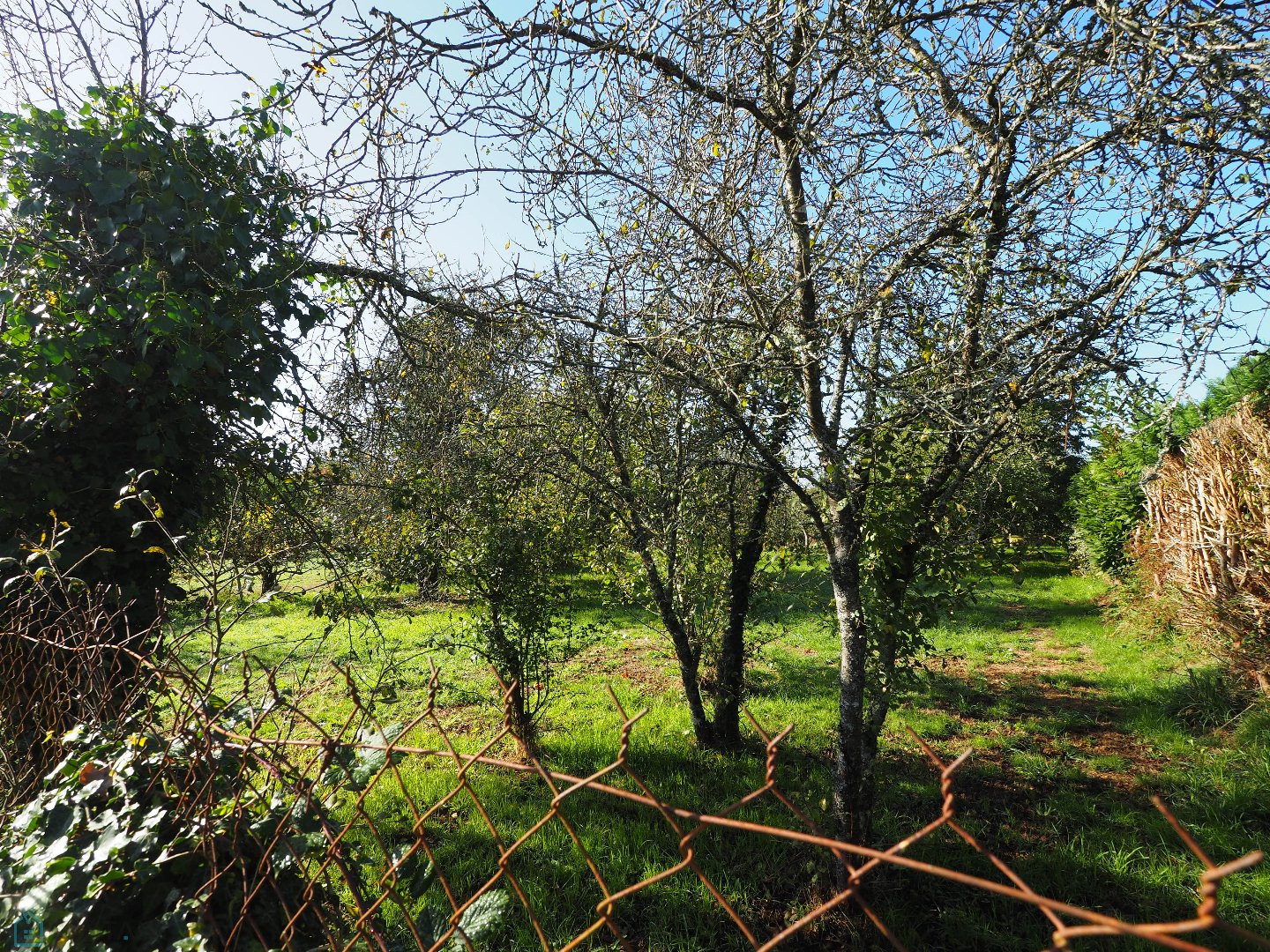 
                                                Vente
                                                 Rare : parcelle construcible dans bel environnement calme et verdoyant