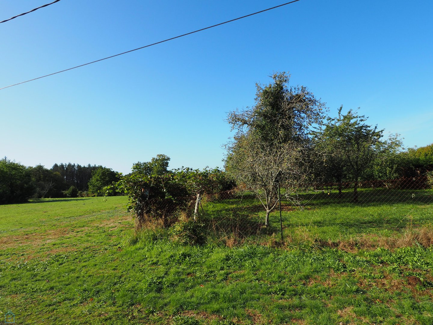 
                                                Vente
                                                 Rare : parcelle construcible dans bel environnement calme et verdoyant