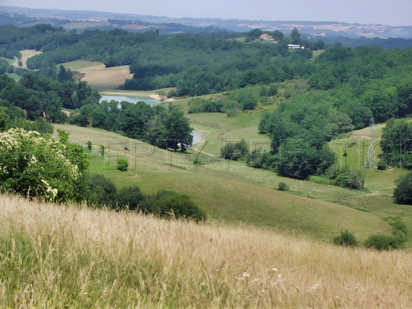 
                                                Vente
                                                 SUD-OUEST PROPRIETE AGRICOLE ET CHASSE 109 HA