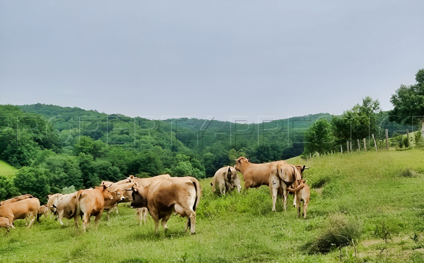 
                                                Vente
                                                 SUD-OUEST PROPRIETE AGRICOLE ET CHASSE 109 HA