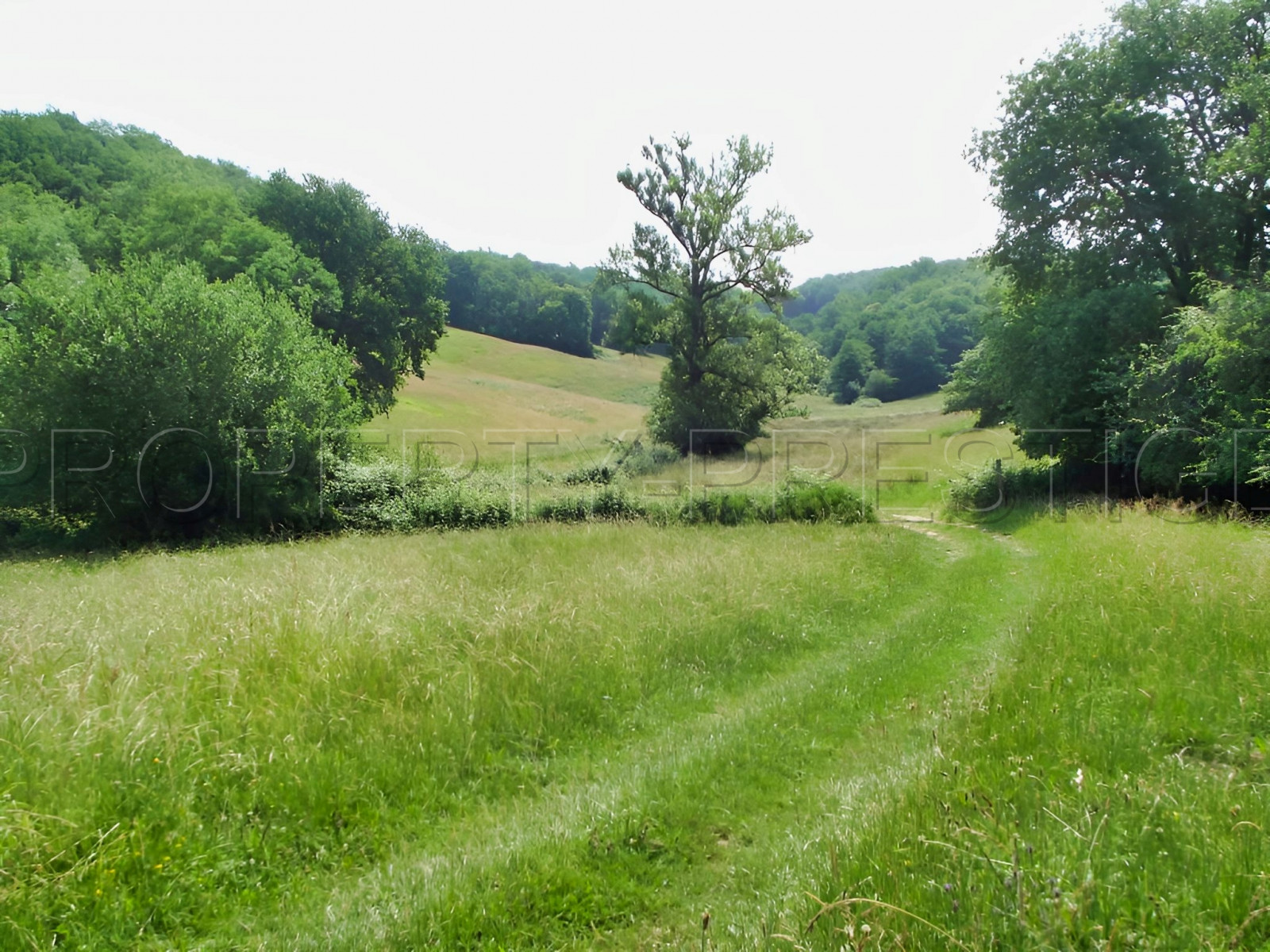 
                                                Vente
                                                 SUD-OUEST PROPRIETE AGRICOLE ET CHASSE 109 HA