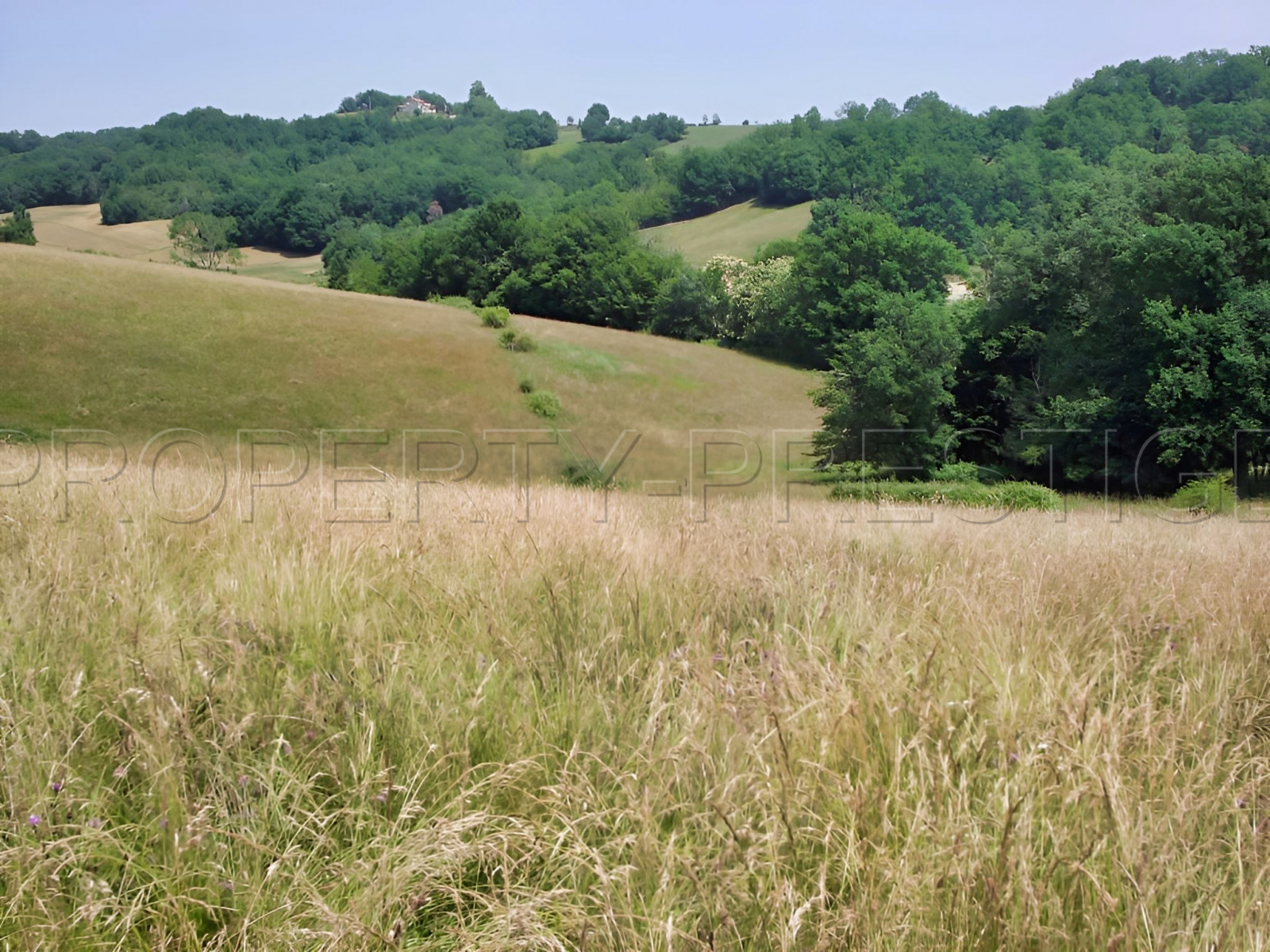 
                                                Vente
                                                 SUD-OUEST PROPRIETE AGRICOLE ET CHASSE 109 HA