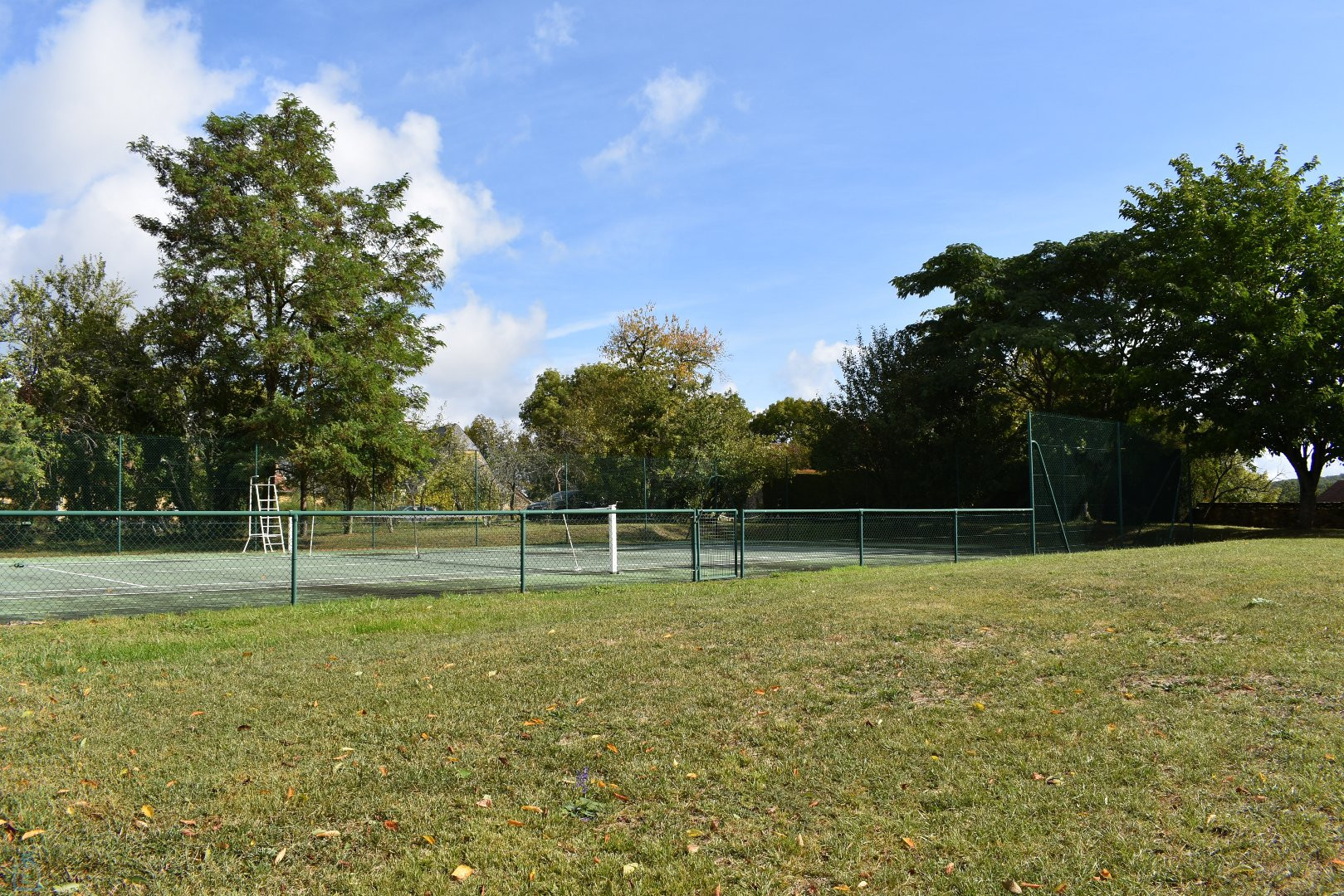 
                                                Vente
                                                 SUPERBE BATISSE PERIGOURDINE DU 16 EME SIECLE AVEC SA TOUR ET SON TENNIS 