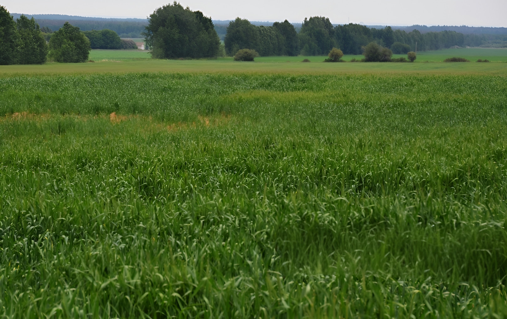 
                                                Vente
                                                 TARN ET GARONNE PROPRIETE AGRICOLE 94 HA