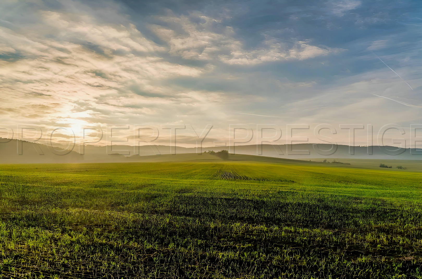 
                                                Vente
                                                 TARN ET GARONNE PROPRIETE AGRICOLE 94 HA