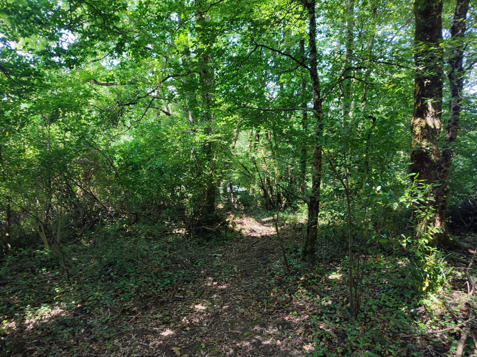 
                                                Vente
                                                 Terrain à bâtir Cambes