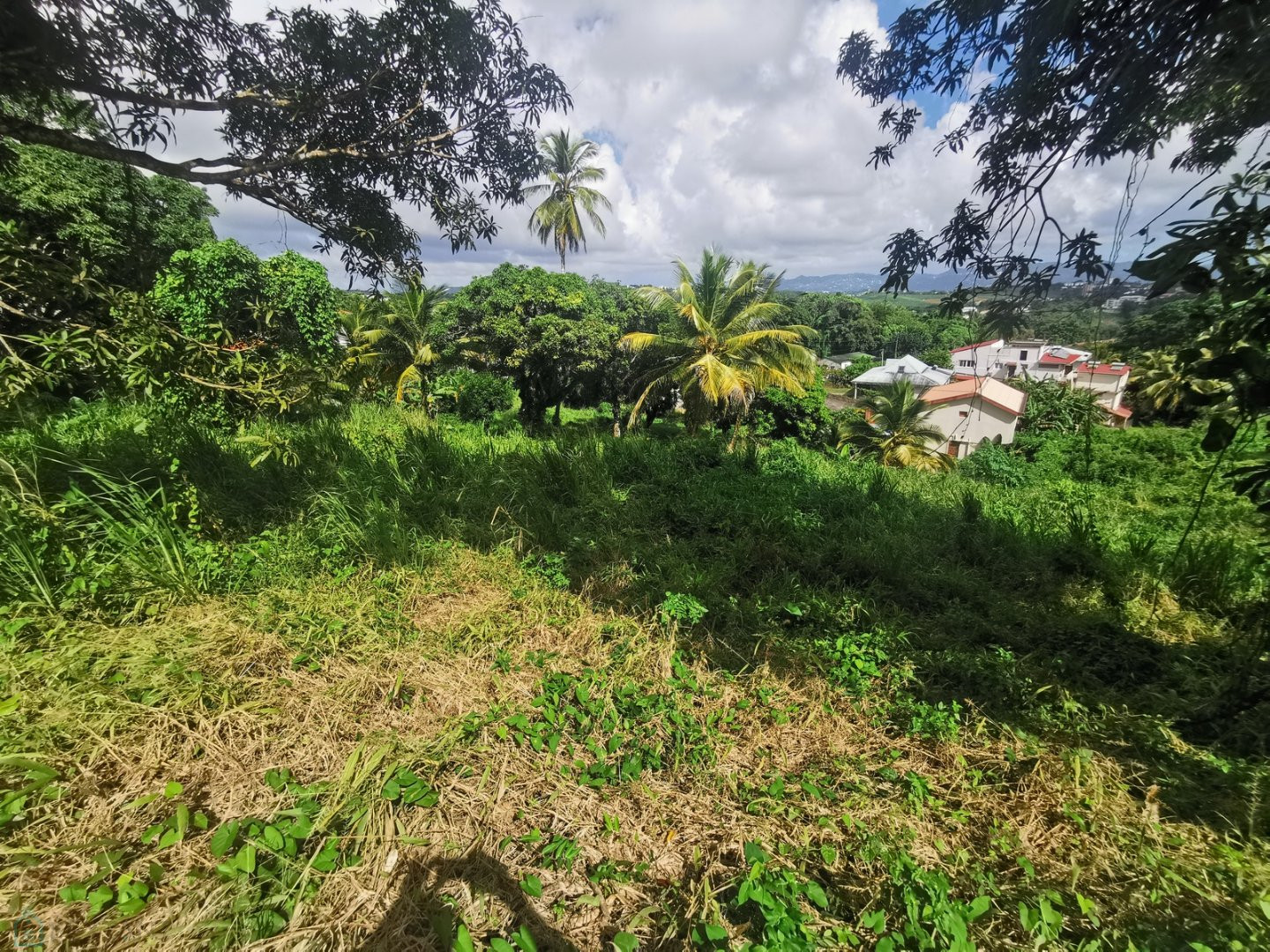 
                                                Vente
                                                 Terrain à Redoute Fort de france