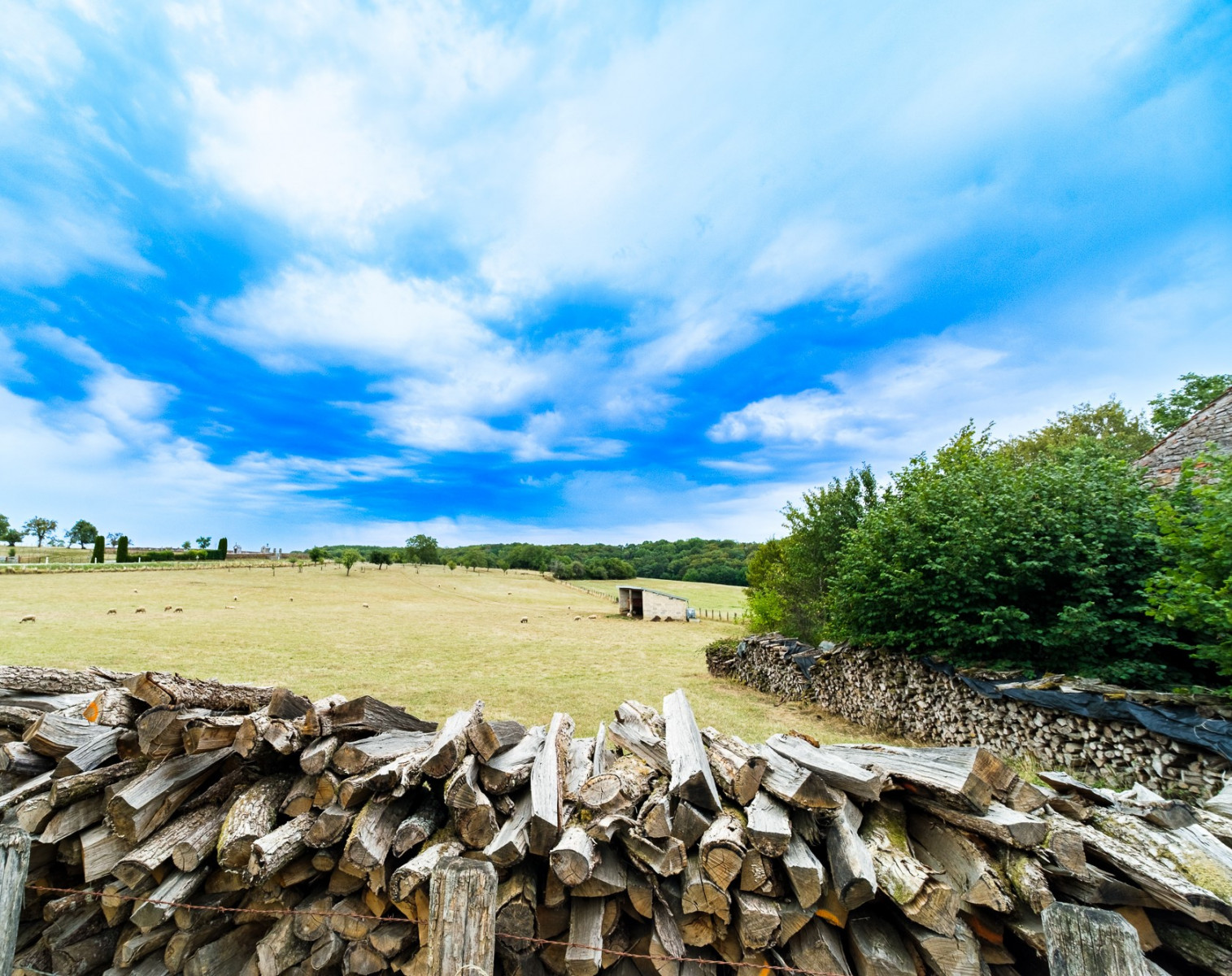 
                                                Vente
                                                 Terrain avec bâtisse à renover