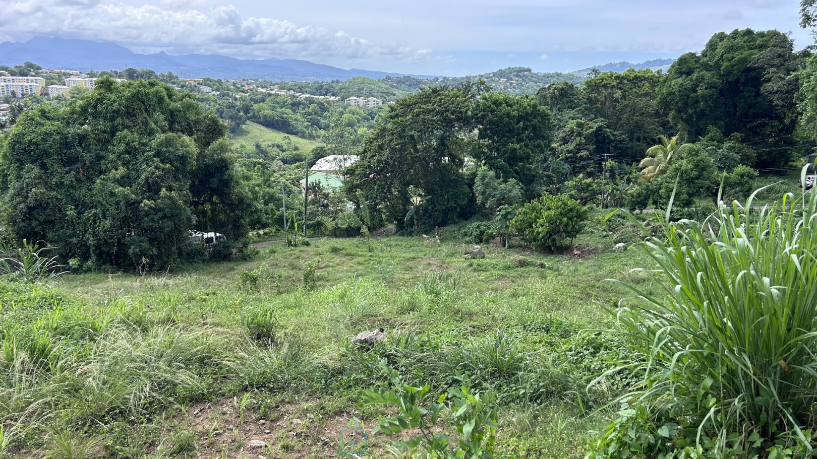 
                                                Vente
                                                 Terrain constructible situé à la périphérie du sud Caraïbe et atlantique proche de la route communale.