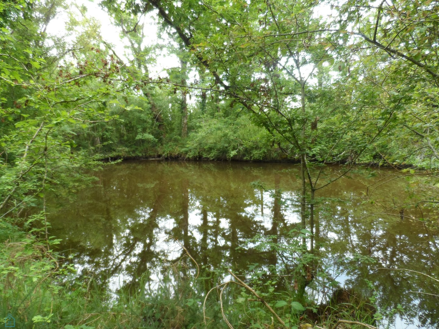 
                                                Vente
                                                 Terrain de loisir