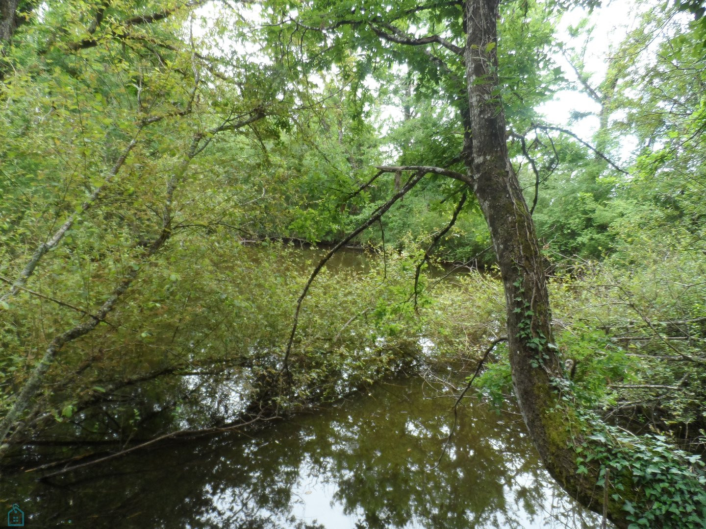 
                                                Vente
                                                 Terrain de loisir