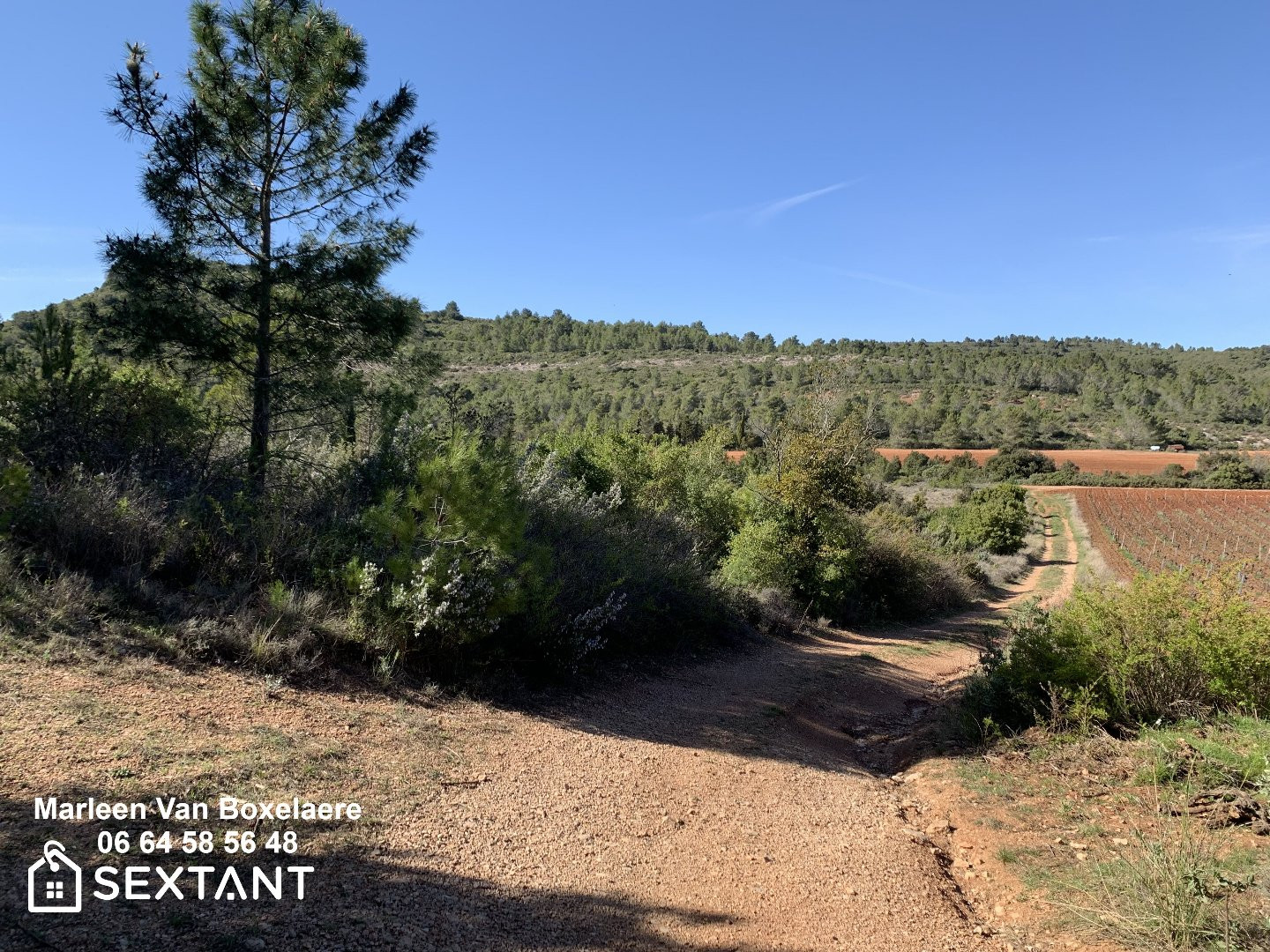 
                                                Vente
                                                 Terrain de loisirs au pied d'une pinède