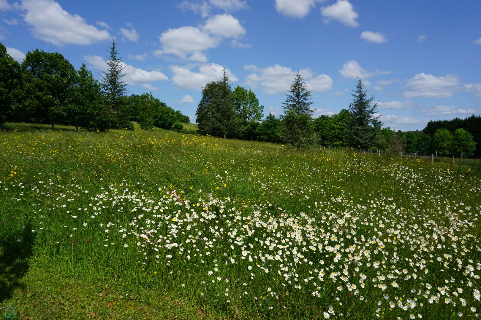 
                                                Vente
                                                 Villa contemporaine de plain-pied. 