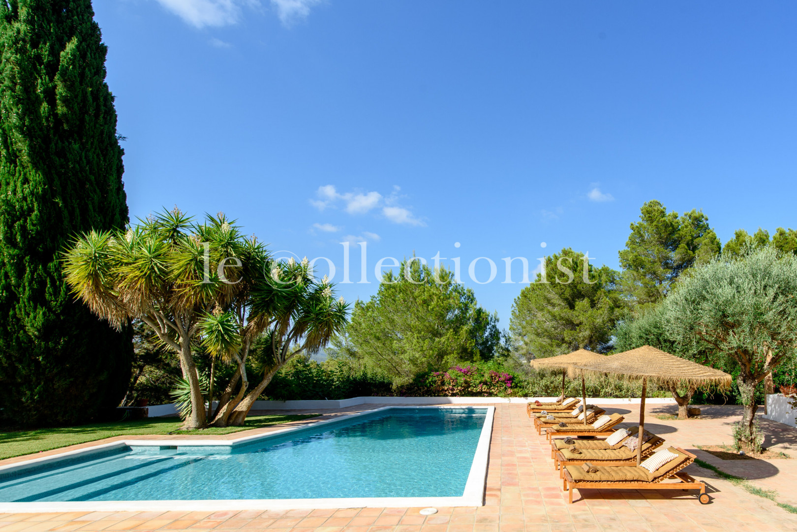 
                                                Location de vacances
                                                 Villa Sol y Luna