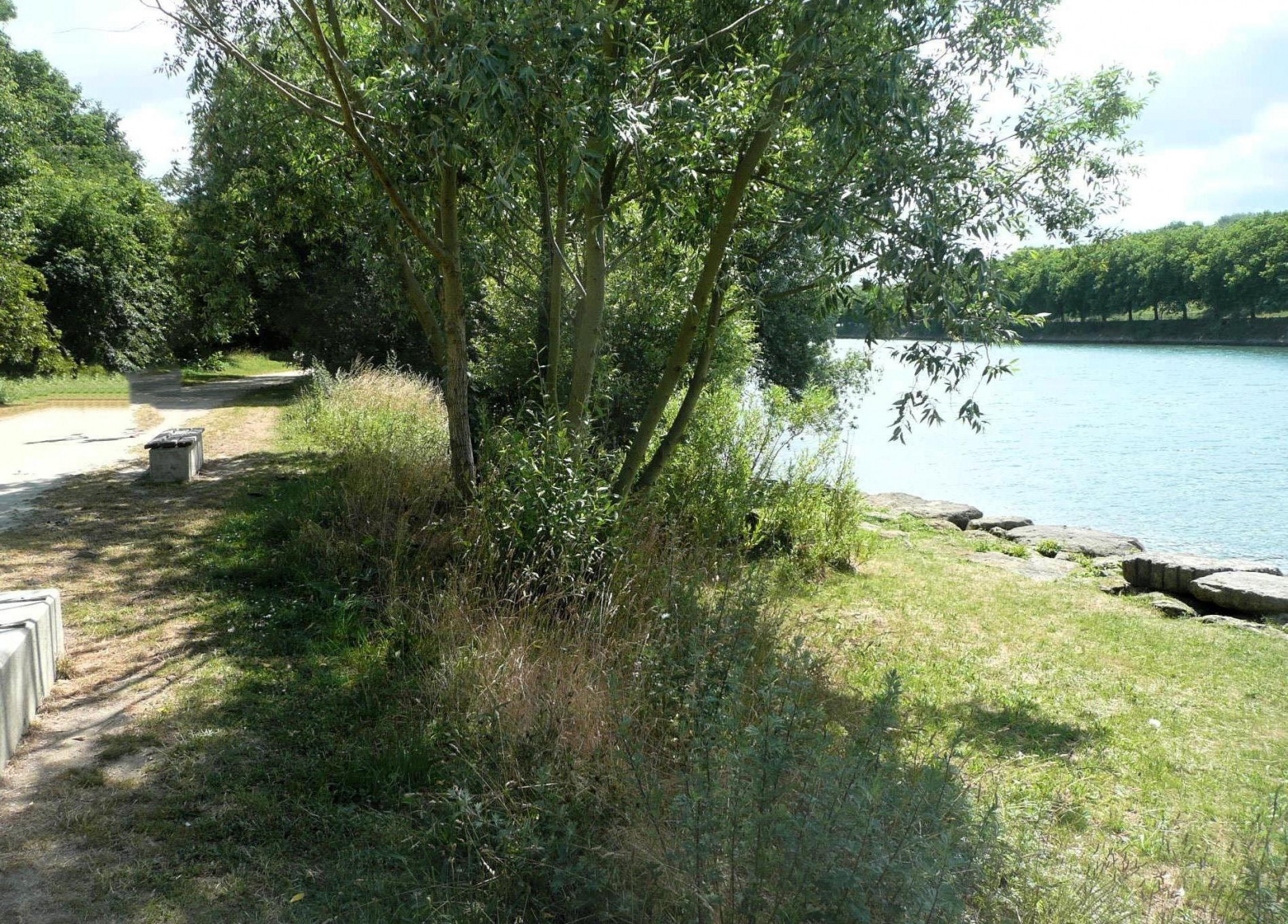 
                                                Vente
                                                 vue parc et Seine calme, sans travaux, terrasse